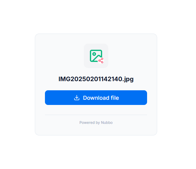Nubbo shared file download page with file name and download button